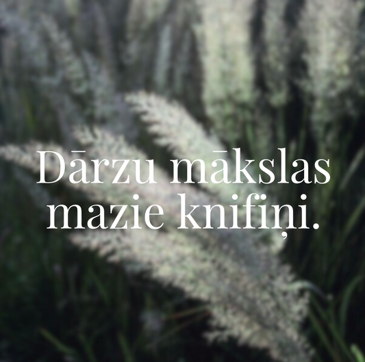Gatavojam dobes pavasara ziedēšanai? Kādas graudzāles priecēs pavasarī?