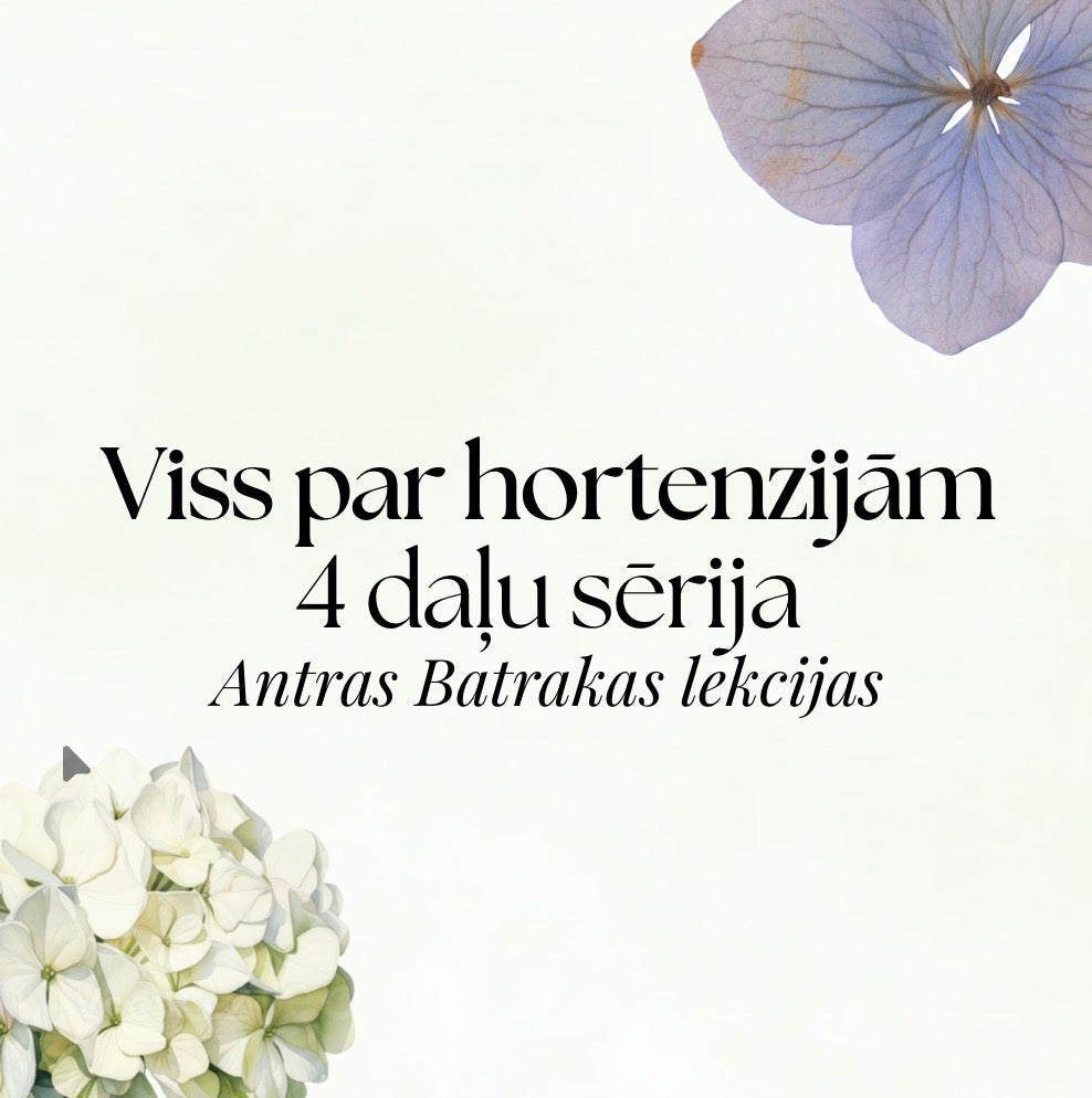 Viss par hortenzijām – 4 daļu lekcija