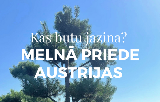 Melnā priede Austrijas - kas būtu jāzina?