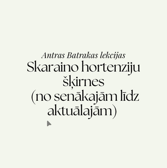 Lekcija: Skaraino hortenziju šķirnes (no senākajām līdz aktuālākajām)