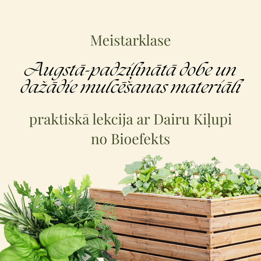Meistarklase: Augstā-padziļinātā dobe un dažādie mulčēšanas materiāli.